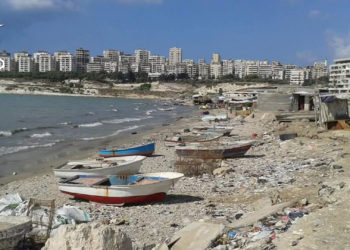 أهم محطة للتسويق والتوزيع في سوريا… متى يعاد تأهيل سوق السمك في اللاذقية؟