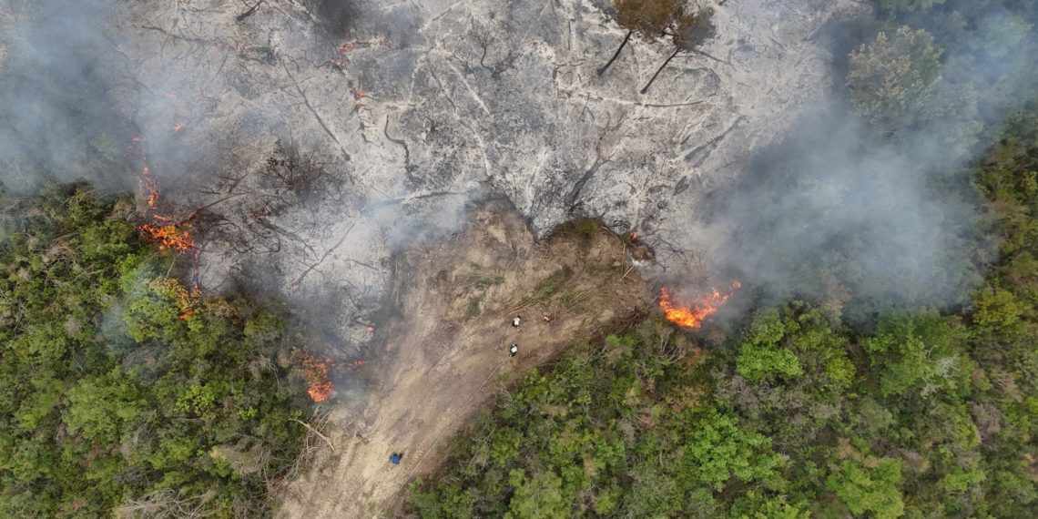 وزارة الطوارئ والكوارث تشكل غرفة عمليات لمواجهة الحرائق بريف اللاذقية