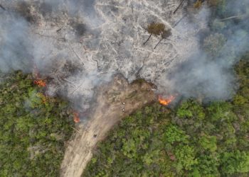 وزارة الطوارئ والكوارث تشكل غرفة عمليات لمواجهة الحرائق بريف اللاذقية