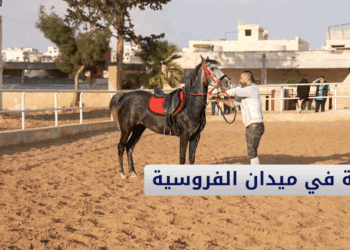 جولة بميدان الفروسية في حلب