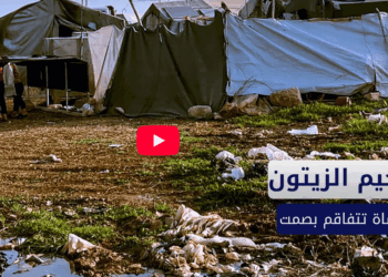 مخيم الزيتون