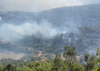 مسلسل الحرائق مستمر في سوريا.. الدفاع المدني يعلن السيطرة على 15 حريقًا خلال يوم واحد