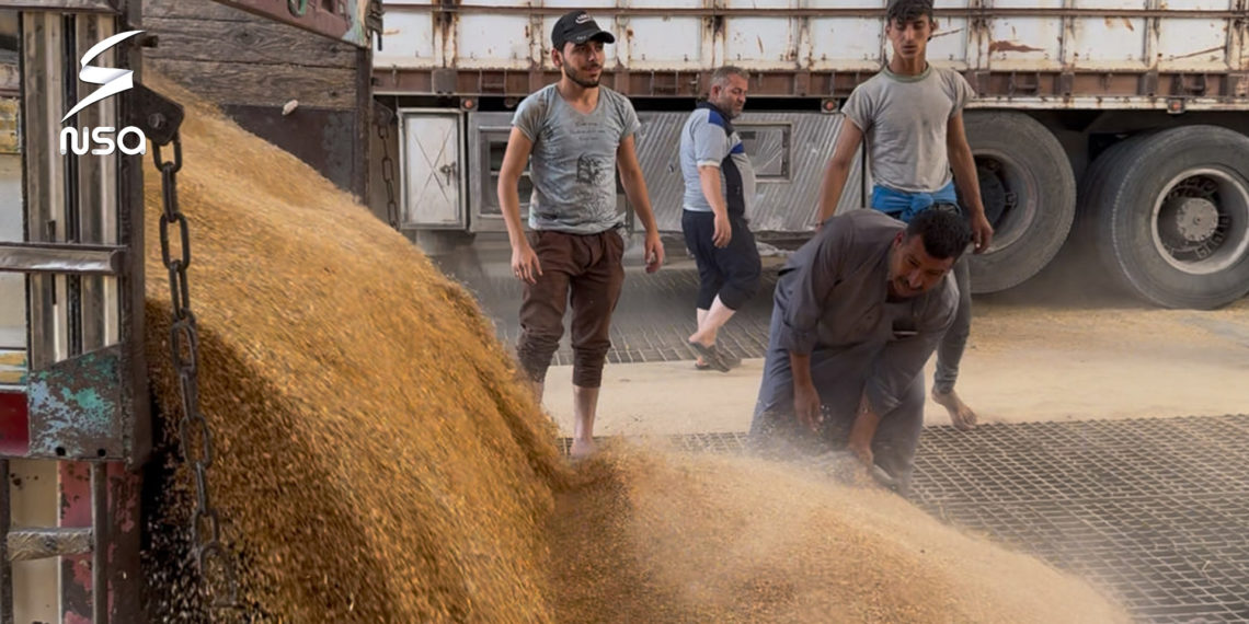 بعد قرار المنحة الرئاسية.. مزارعو حلب يسلمون أكثر من 22 ألف طن من القمح
