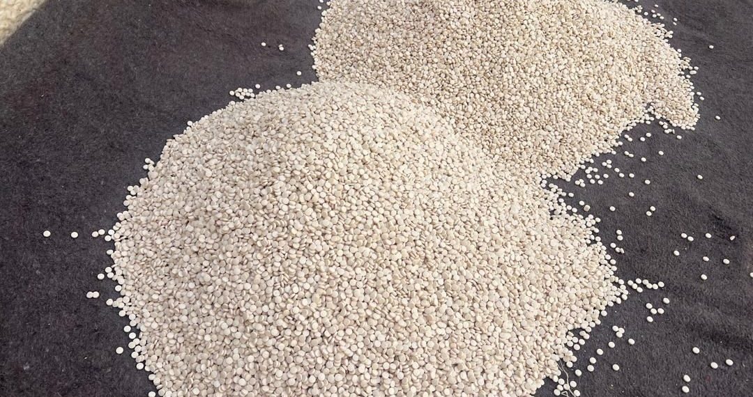 ضبط 3 ملايين حبة كبتاغون في منطقة النبك بريف دمشق 