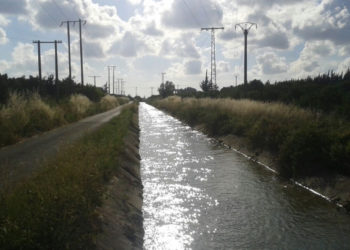 قنوات الري في اللاذقية.. شريان حياة أم خطر يهدد حياة السكان؟