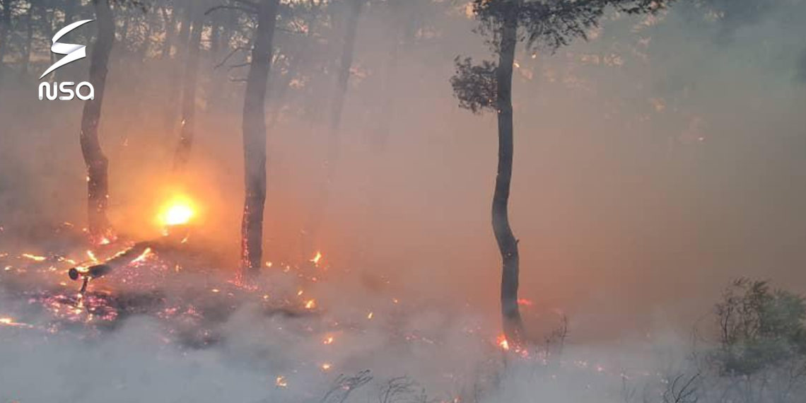 وسط جهود كبيرة لإخمادها.. استمرار حرائق الغابات في ريف اللاذقية لليوم الثالث على التوالي
