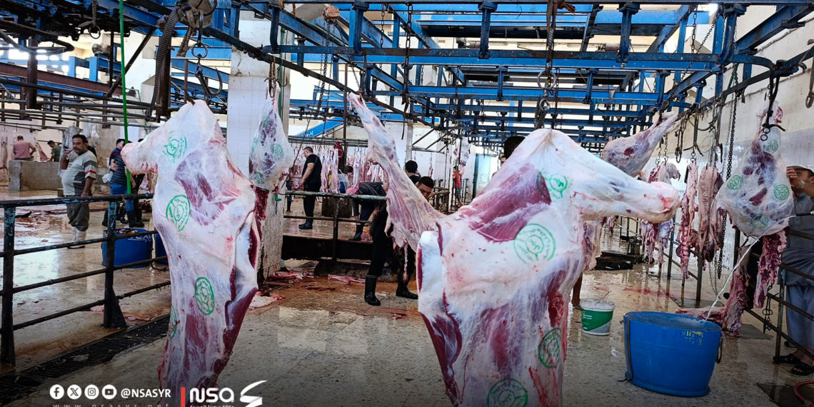 “التسعير أبرز الصعوبات”.. سوريا الجديدة ترصد واقع” الجزارين” بحماة