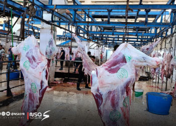 “التسعير أبرز الصعوبات”.. سوريا الجديدة ترصد واقع” الجزارين” بحماة