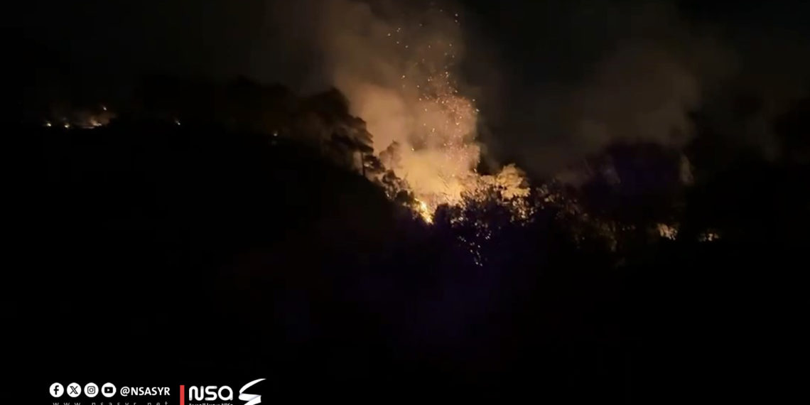 آثار كارثية.. متخصص بقضايا البيئة والمناخ يكشف أسباب وأضرار حرائق الساحل