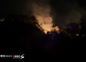 آثار كارثية.. متخصص بقضايا البيئة والمناخ يكشف أسباب وأضرار حرائق الساحل