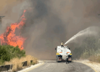 "أراض غير صالحة للزراعة وفقدان كبير للكائنات الحية".. كيف ستؤثر الحرائق في ريف اللاذقية على التوازن البيئي في المنطقة وما هي الأسباب؟