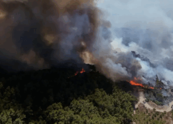 آخر تطورات الحرائق في ريف اللاذقية مع مراسلتنا نورا حبيب