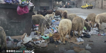 النفايات في جنوب المعلب