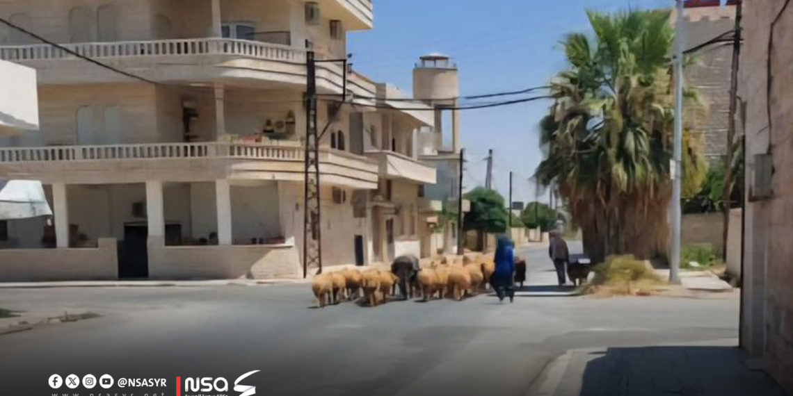 مدينة محردة