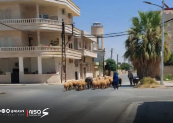 مدينة محردة