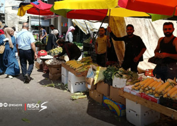 استقرار نسبي في أسعار الخضار والفواكه يعيد النشاط لسوق 15 آذار في حماة