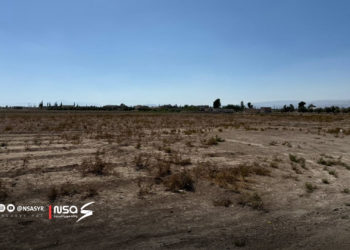 فلاحو المرج بريف دمشق يستغيثون: الجفاف أتعبنا ونريد حقنا من بردى