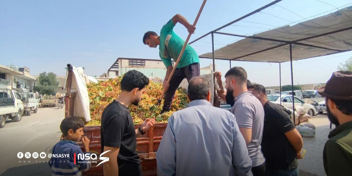 الفستق الحلبي