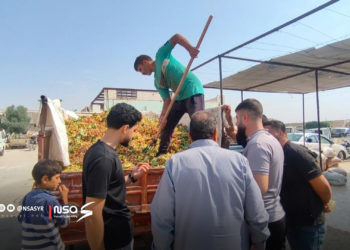 الفستق الحلبي