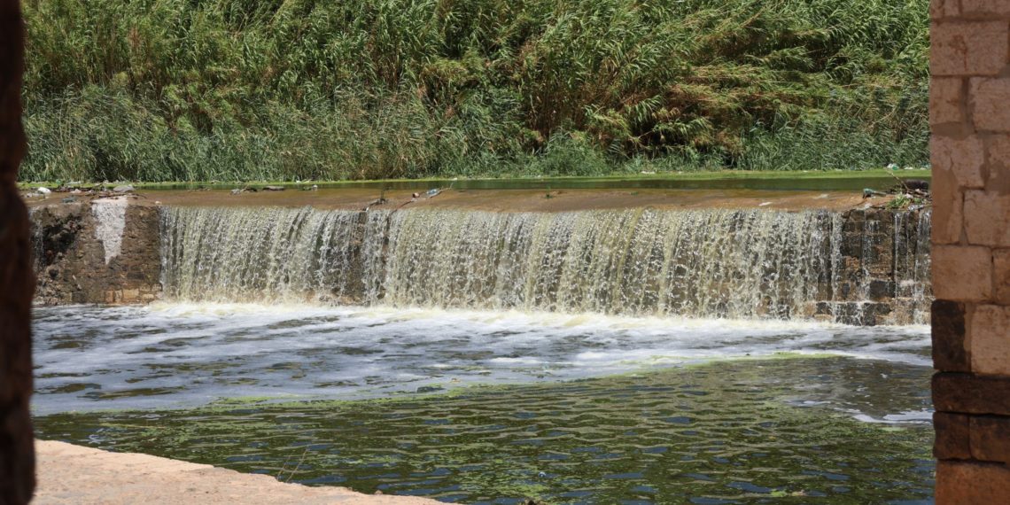 فتح سد الرستن يُنقذ المحاصيل