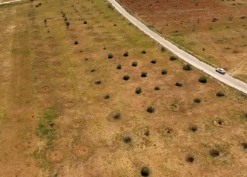 ريف حلب الجنوبي