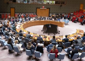 مجلس الأمن الدولي