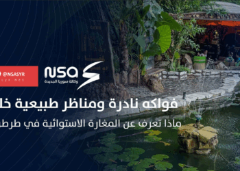 جلسة بين أحضان الطبيعة وفواكه نادرة وعصائر طازجة.. اكتشف سحر الغابة الاستوائية في طرطوس