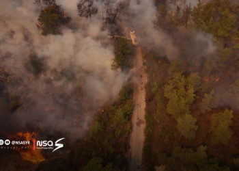 حرائق اللاذقية