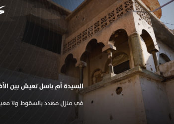 في دمشق.. السيدة أم باسل تعيش بين الأفاعي في منزل مهدد بالسقوط ولا معيل لها